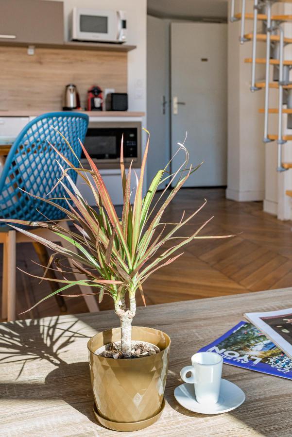 Le Royale Haussmann 4 Places Loft Canut Lyon