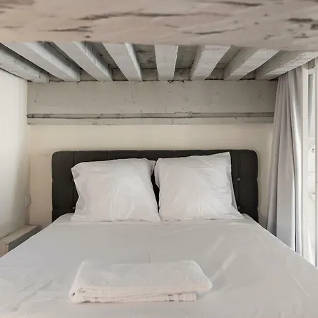 Le Royale Haussmann 4 Places Loft Canut Lyon Exterior photo